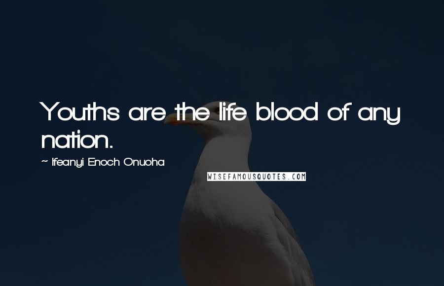 Ifeanyi Enoch Onuoha Quotes: Youths are the life blood of any nation.