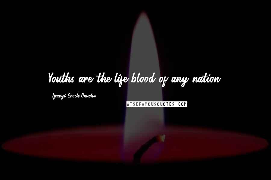 Ifeanyi Enoch Onuoha Quotes: Youths are the life blood of any nation.