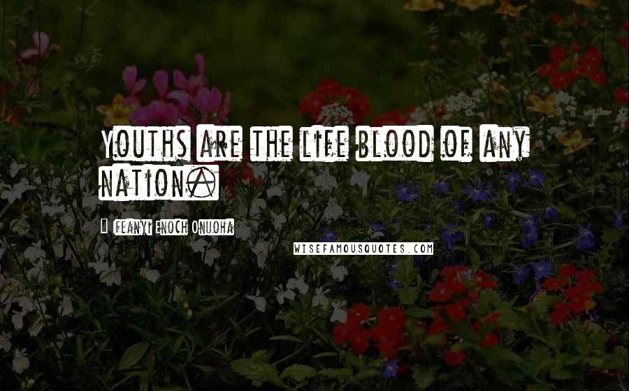 Ifeanyi Enoch Onuoha Quotes: Youths are the life blood of any nation.