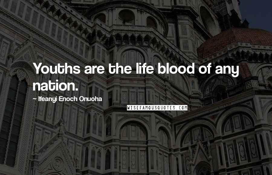 Ifeanyi Enoch Onuoha Quotes: Youths are the life blood of any nation.