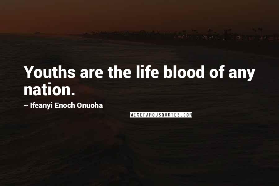 Ifeanyi Enoch Onuoha Quotes: Youths are the life blood of any nation.