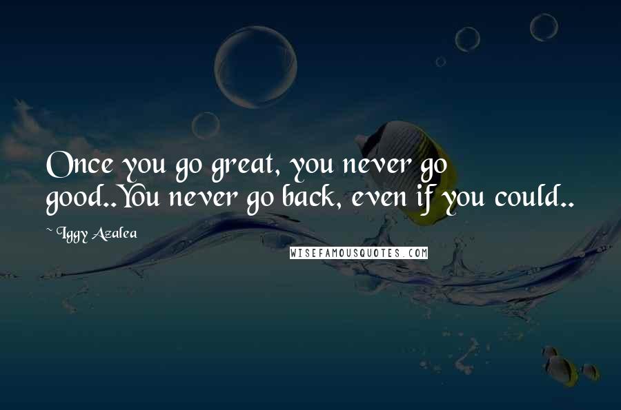 Iggy Azalea Quotes: Once you go great, you never go good..You never go back, even if you could..