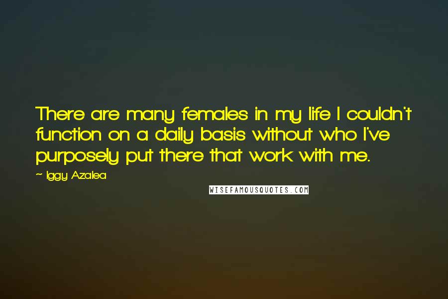 Iggy Azalea Quotes: There are many females in my life I couldn't function on a daily basis without who I've purposely put there that work with me.