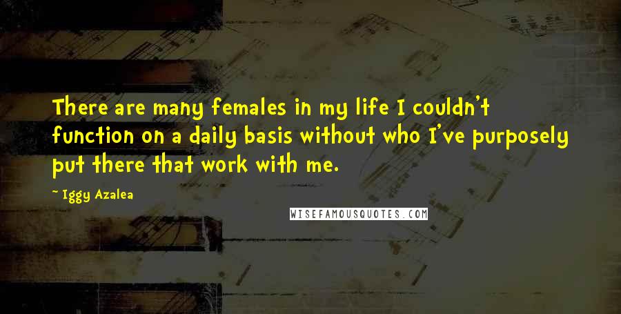 Iggy Azalea Quotes: There are many females in my life I couldn't function on a daily basis without who I've purposely put there that work with me.