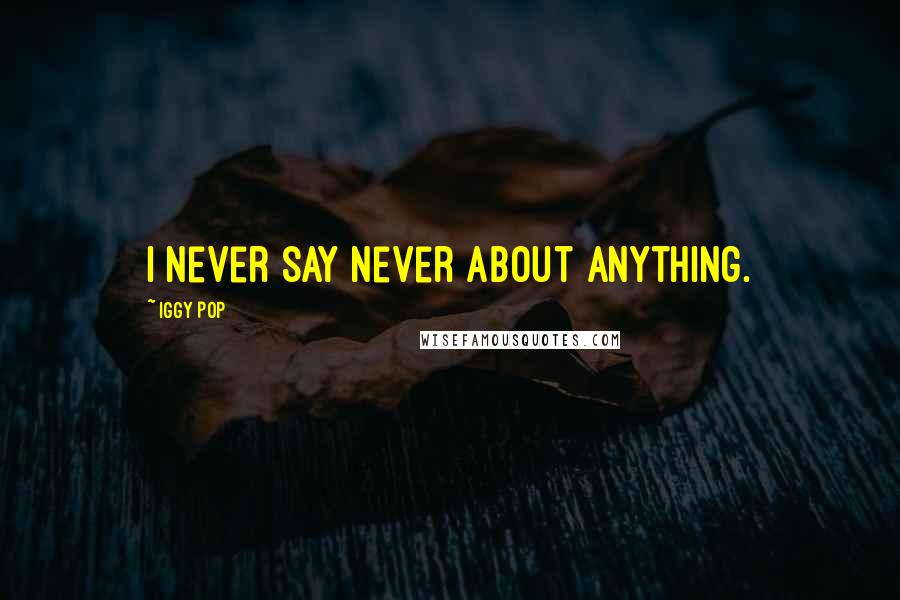 Iggy Pop Quotes: I never say never about anything.