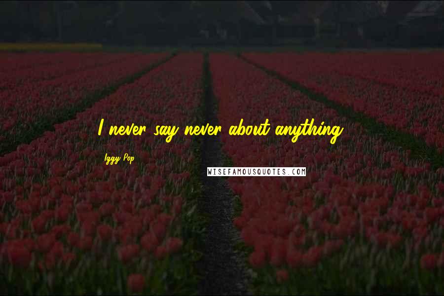 Iggy Pop Quotes: I never say never about anything.