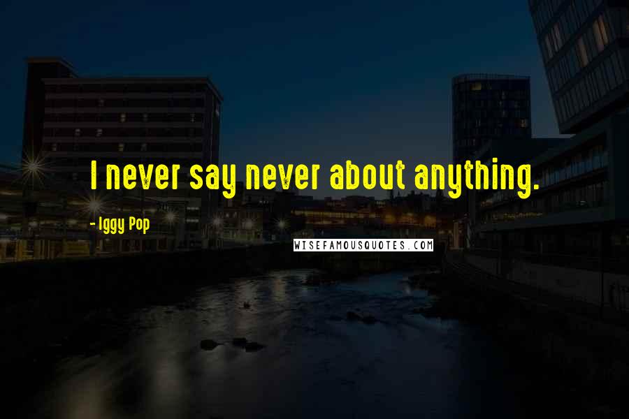 Iggy Pop Quotes: I never say never about anything.