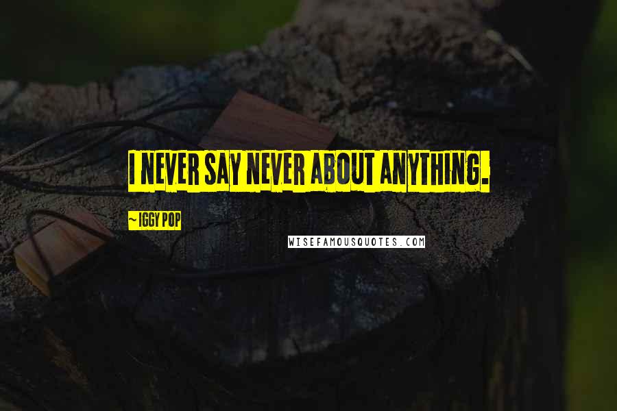 Iggy Pop Quotes: I never say never about anything.