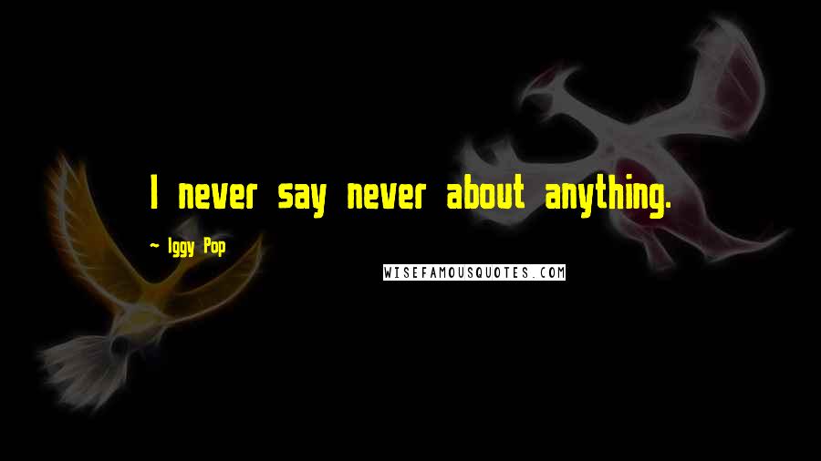 Iggy Pop Quotes: I never say never about anything.