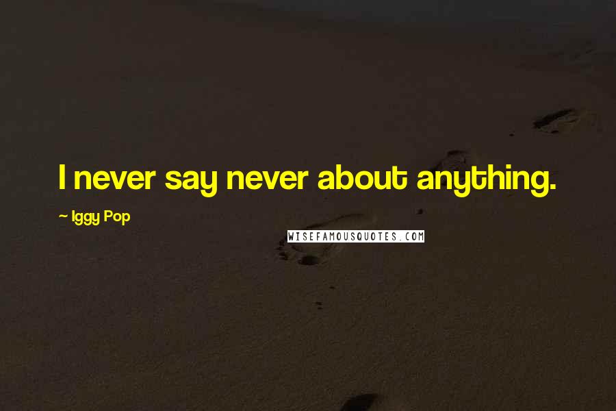 Iggy Pop Quotes: I never say never about anything.
