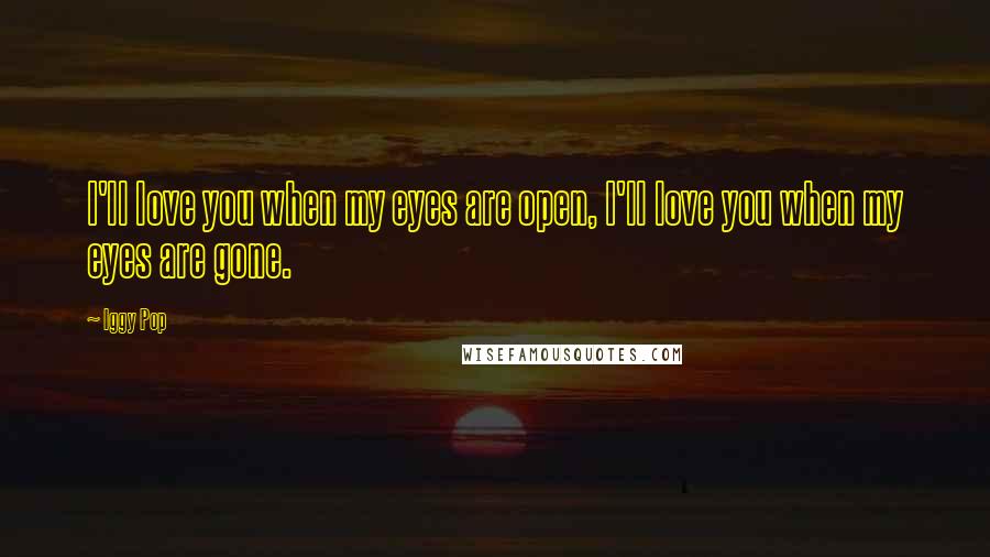 Iggy Pop Quotes: I'll love you when my eyes are open, I'll love you when my eyes are gone.