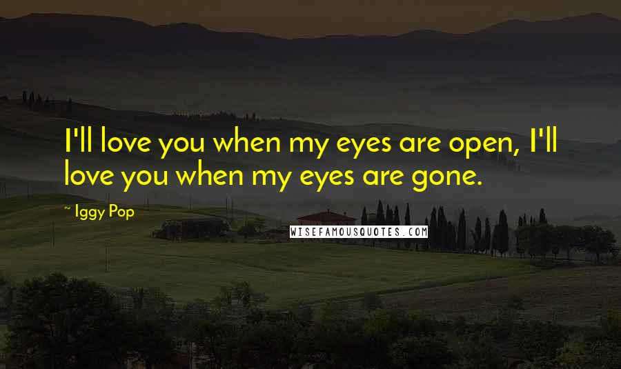 Iggy Pop Quotes: I'll love you when my eyes are open, I'll love you when my eyes are gone.