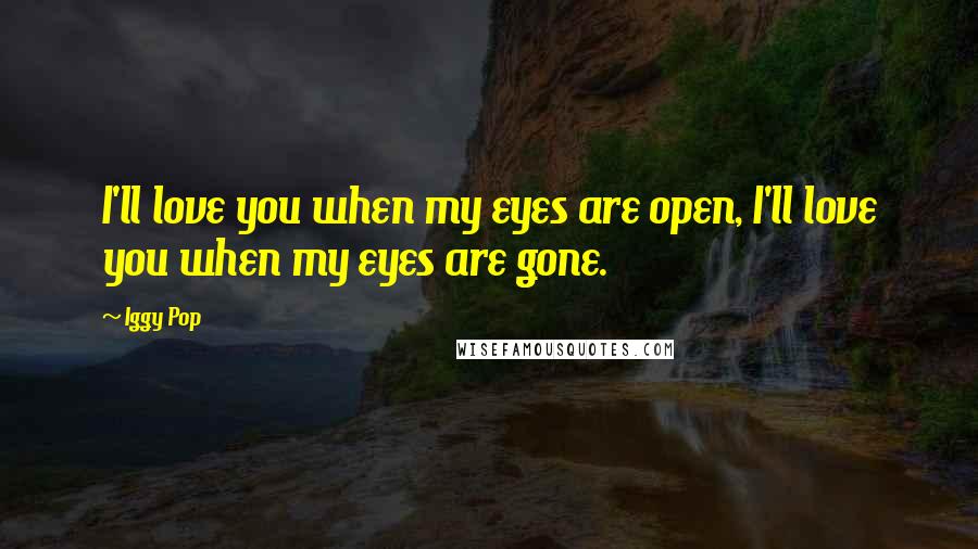 Iggy Pop Quotes: I'll love you when my eyes are open, I'll love you when my eyes are gone.