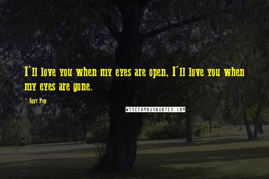 Iggy Pop Quotes: I'll love you when my eyes are open, I'll love you when my eyes are gone.