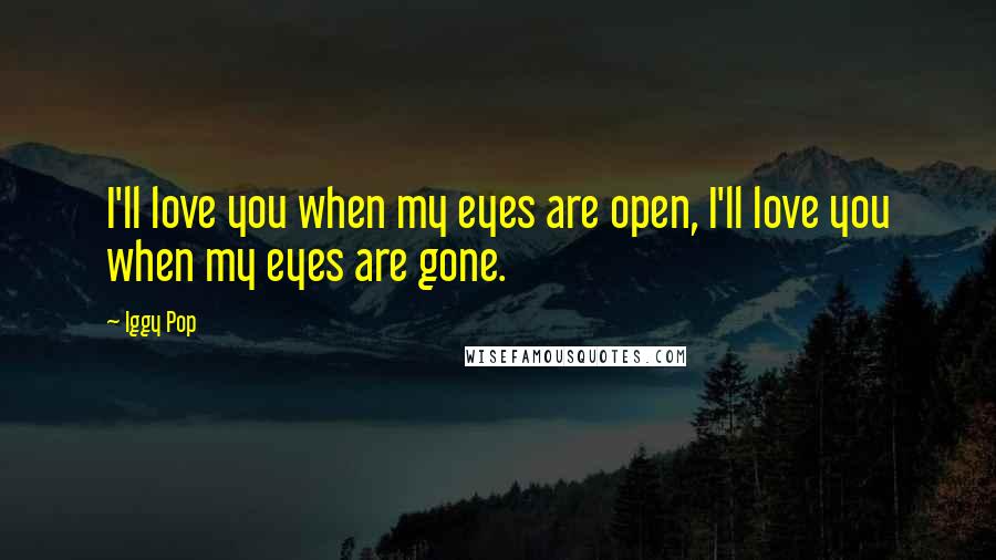 Iggy Pop Quotes: I'll love you when my eyes are open, I'll love you when my eyes are gone.