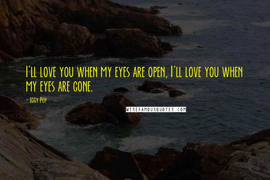 Iggy Pop Quotes: I'll love you when my eyes are open, I'll love you when my eyes are gone.