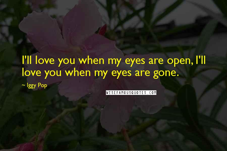 Iggy Pop Quotes: I'll love you when my eyes are open, I'll love you when my eyes are gone.