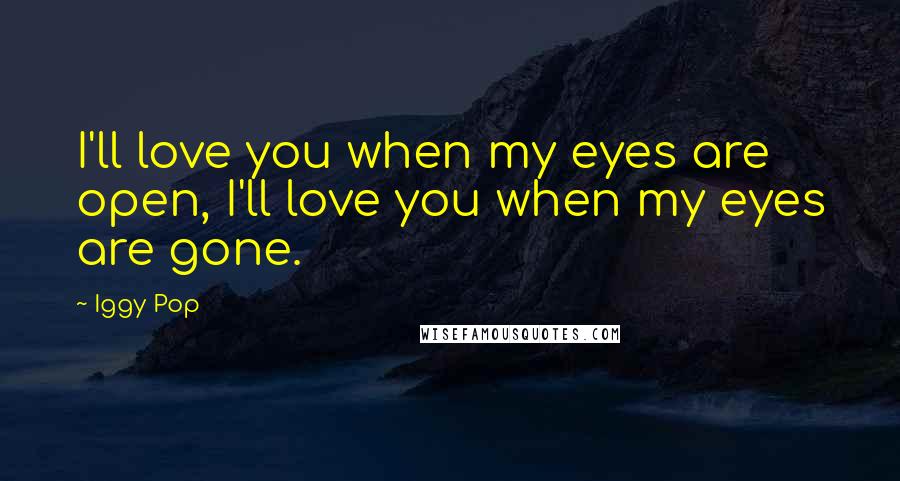 Iggy Pop Quotes: I'll love you when my eyes are open, I'll love you when my eyes are gone.