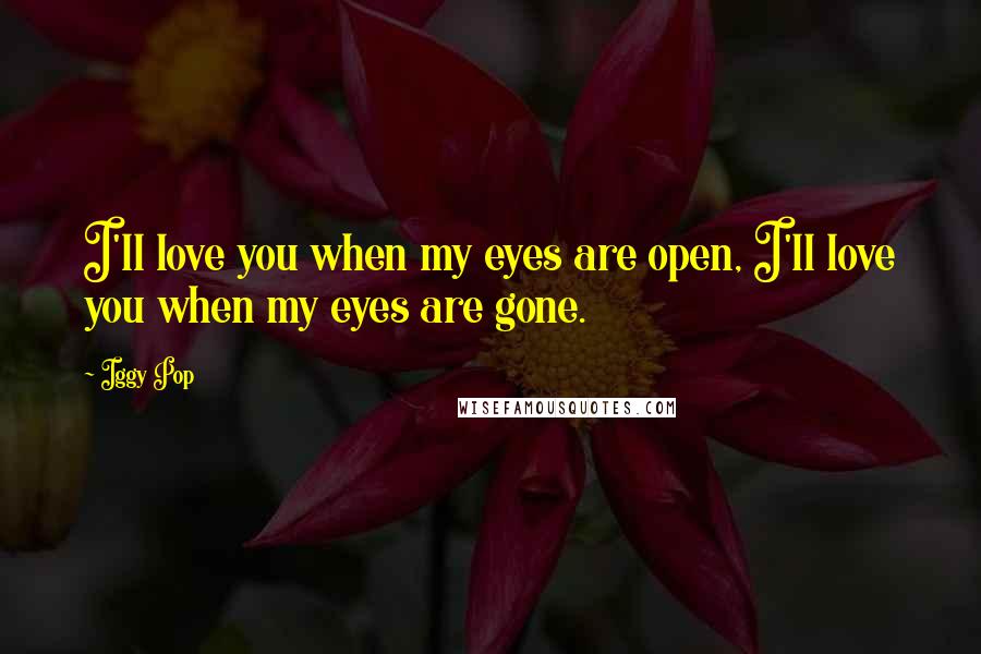 Iggy Pop Quotes: I'll love you when my eyes are open, I'll love you when my eyes are gone.