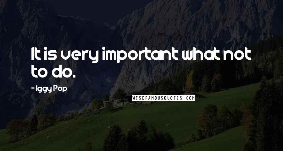 Iggy Pop Quotes: It is very important what not to do.