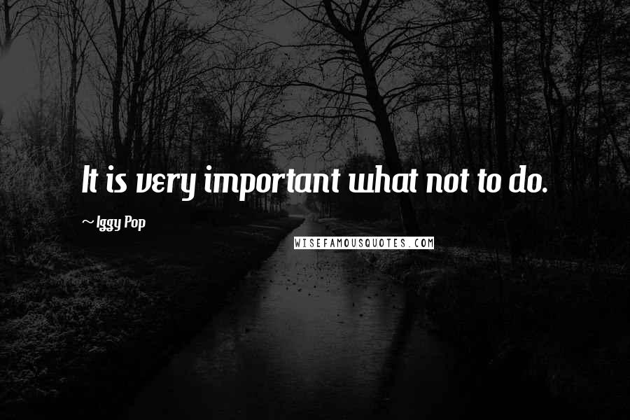 Iggy Pop Quotes: It is very important what not to do.