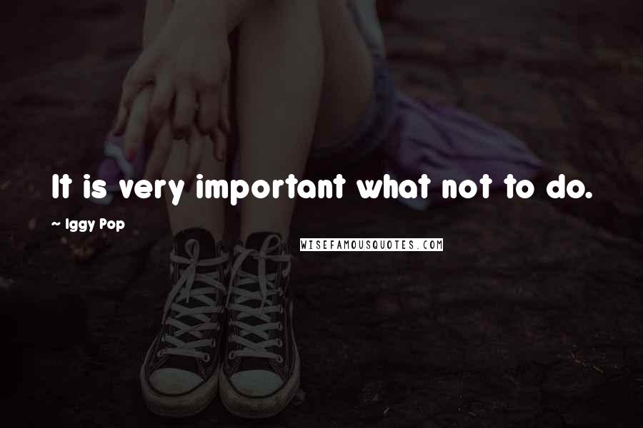 Iggy Pop Quotes: It is very important what not to do.