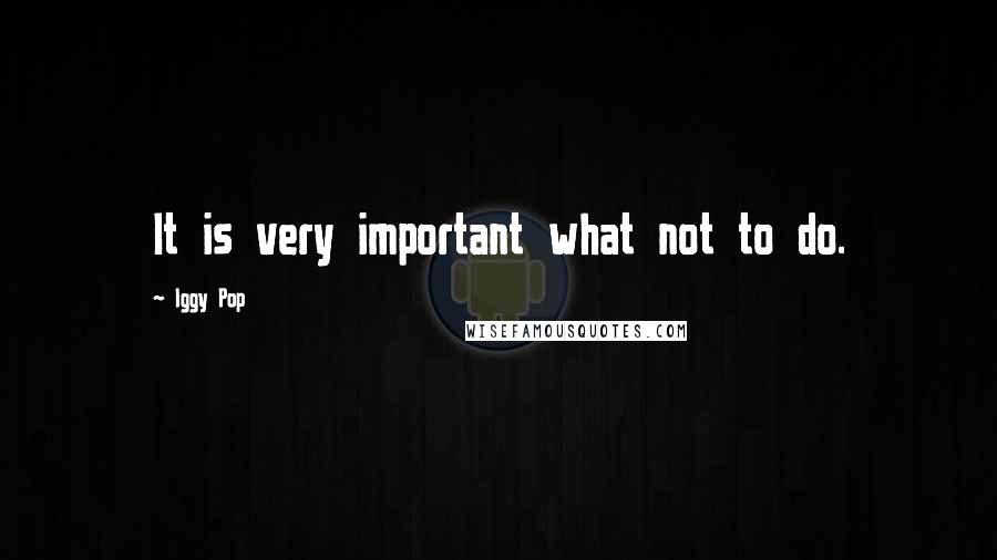 Iggy Pop Quotes: It is very important what not to do.