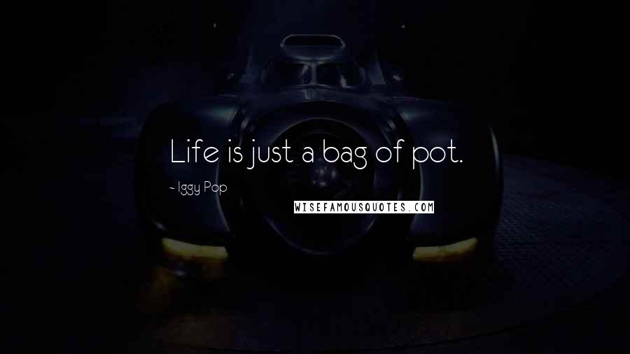 Iggy Pop Quotes: Life is just a bag of pot.