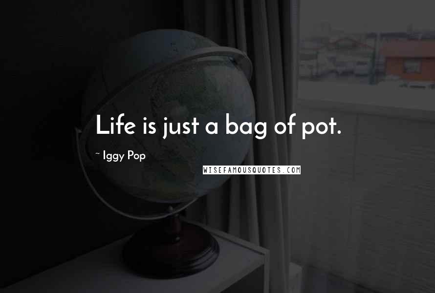 Iggy Pop Quotes: Life is just a bag of pot.