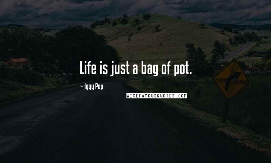 Iggy Pop Quotes: Life is just a bag of pot.