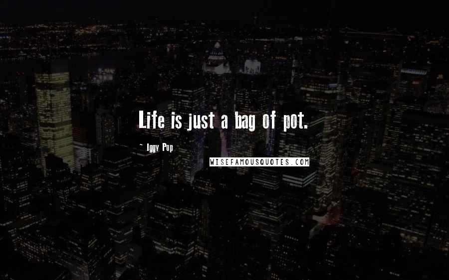 Iggy Pop Quotes: Life is just a bag of pot.