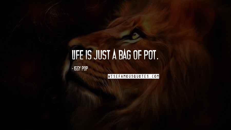 Iggy Pop Quotes: Life is just a bag of pot.