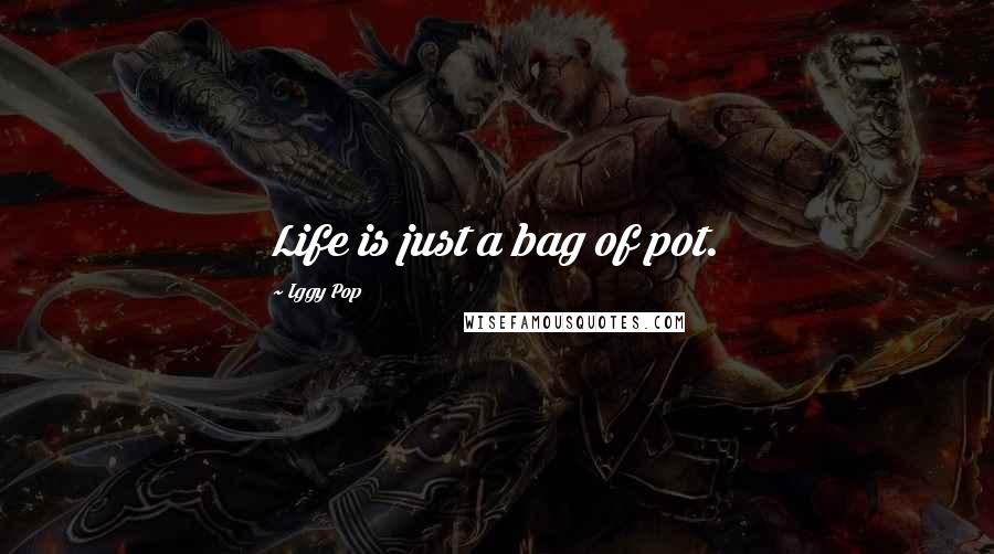 Iggy Pop Quotes: Life is just a bag of pot.