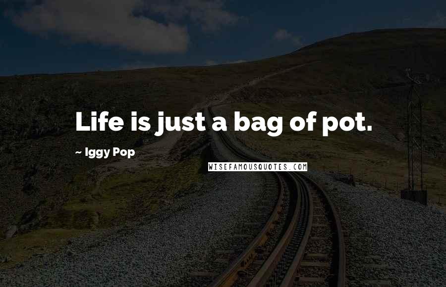 Iggy Pop Quotes: Life is just a bag of pot.