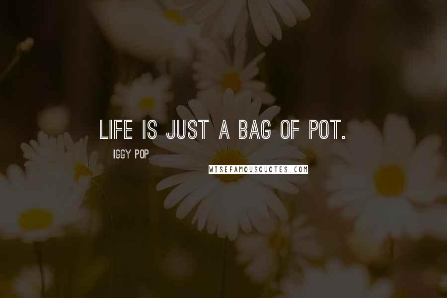 Iggy Pop Quotes: Life is just a bag of pot.