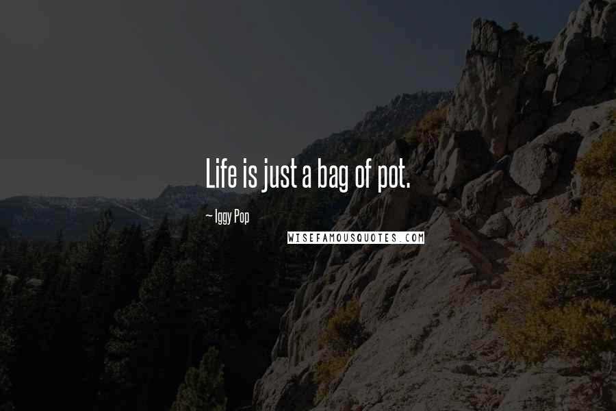 Iggy Pop Quotes: Life is just a bag of pot.