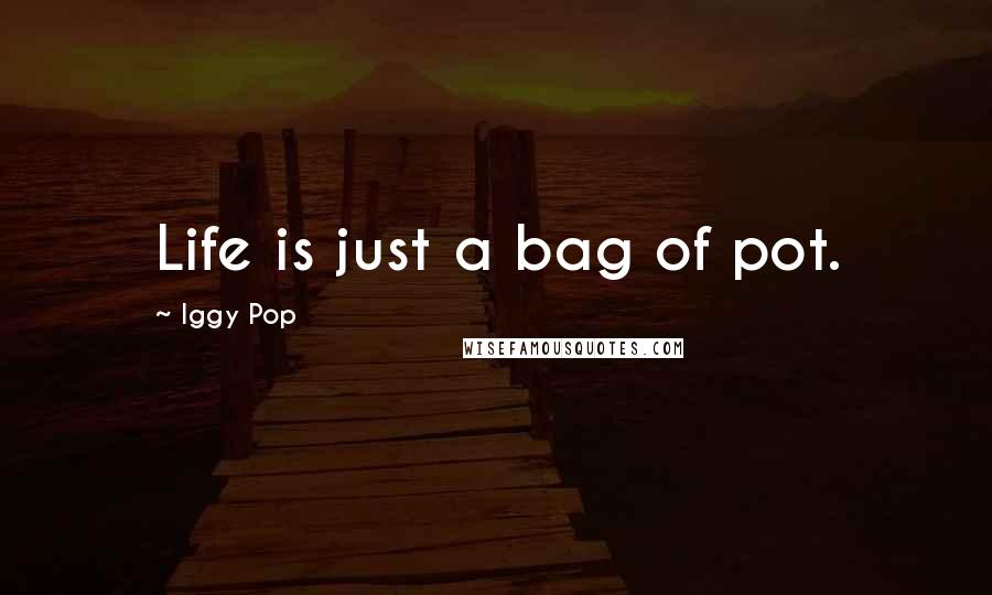 Iggy Pop Quotes: Life is just a bag of pot.