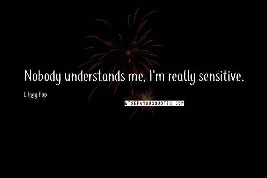 Iggy Pop Quotes: Nobody understands me, I'm really sensitive.