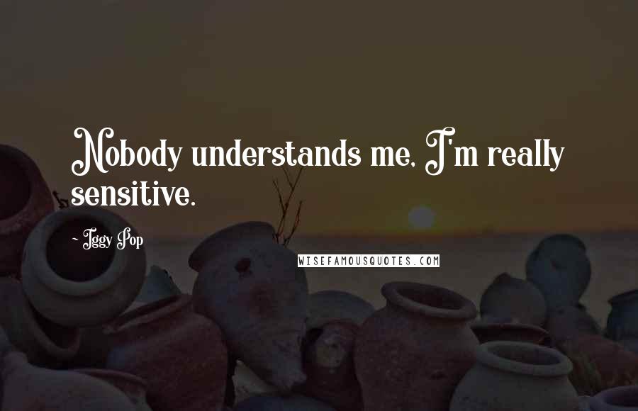 Iggy Pop Quotes: Nobody understands me, I'm really sensitive.