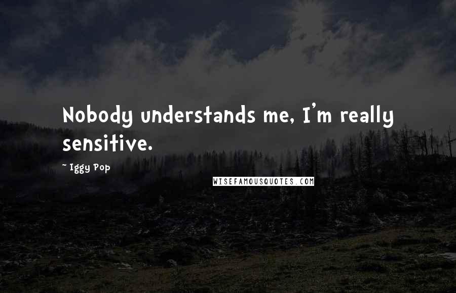 Iggy Pop Quotes: Nobody understands me, I'm really sensitive.