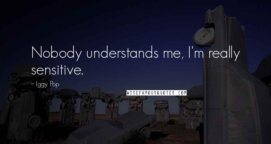 Iggy Pop Quotes: Nobody understands me, I'm really sensitive.