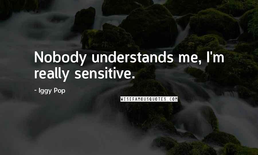 Iggy Pop Quotes: Nobody understands me, I'm really sensitive.