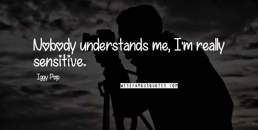 Iggy Pop Quotes: Nobody understands me, I'm really sensitive.