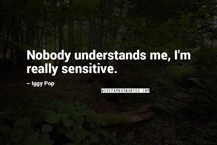 Iggy Pop Quotes: Nobody understands me, I'm really sensitive.