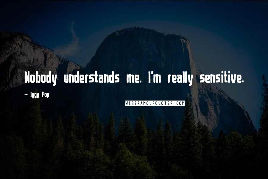 Iggy Pop Quotes: Nobody understands me, I'm really sensitive.