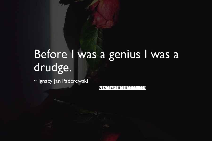 Ignacy Jan Paderewski Quotes: Before I was a genius I was a drudge.