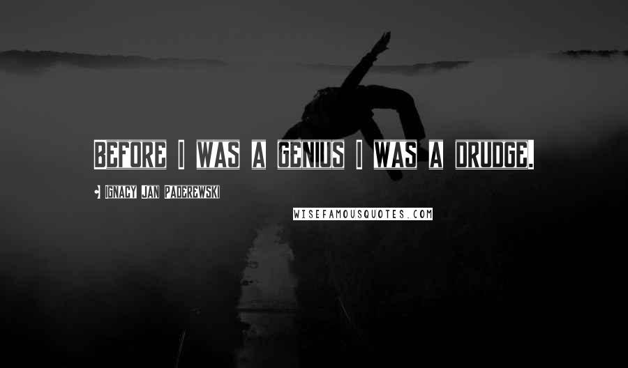 Ignacy Jan Paderewski Quotes: Before I was a genius I was a drudge.