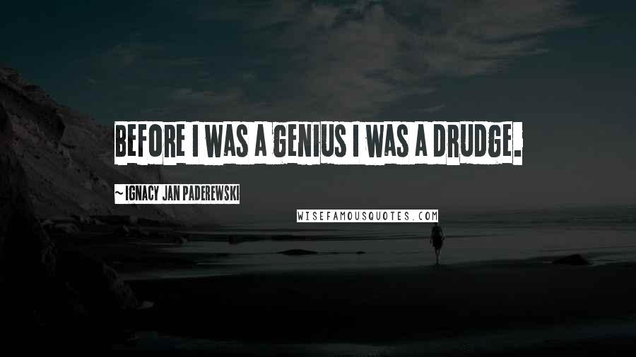Ignacy Jan Paderewski Quotes: Before I was a genius I was a drudge.