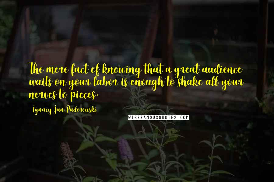 Ignacy Jan Paderewski Quotes: The mere fact of knowing that a great audience waits on your labor is enough to shake all your nerves to pieces.