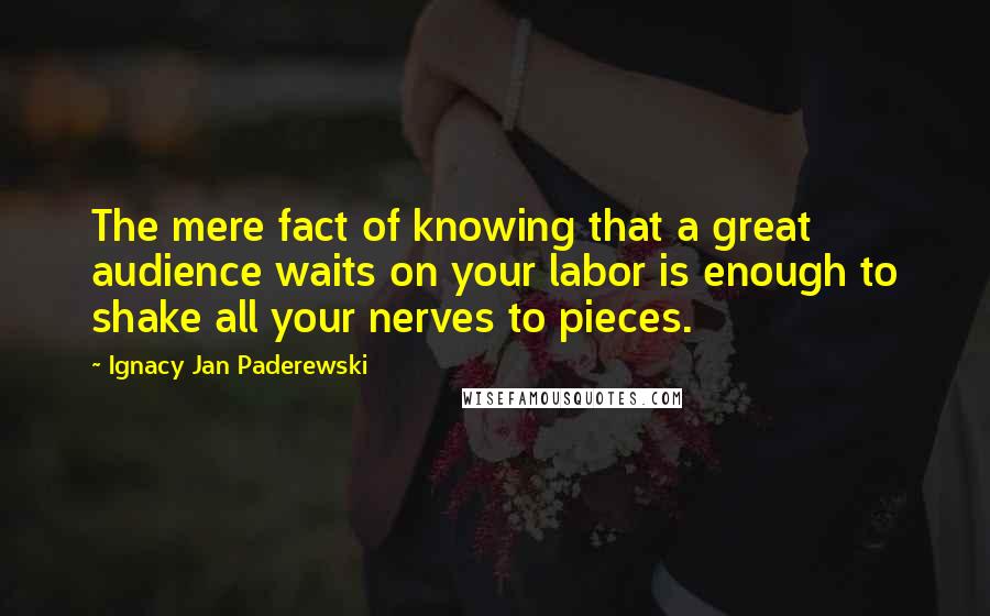 Ignacy Jan Paderewski Quotes: The mere fact of knowing that a great audience waits on your labor is enough to shake all your nerves to pieces.